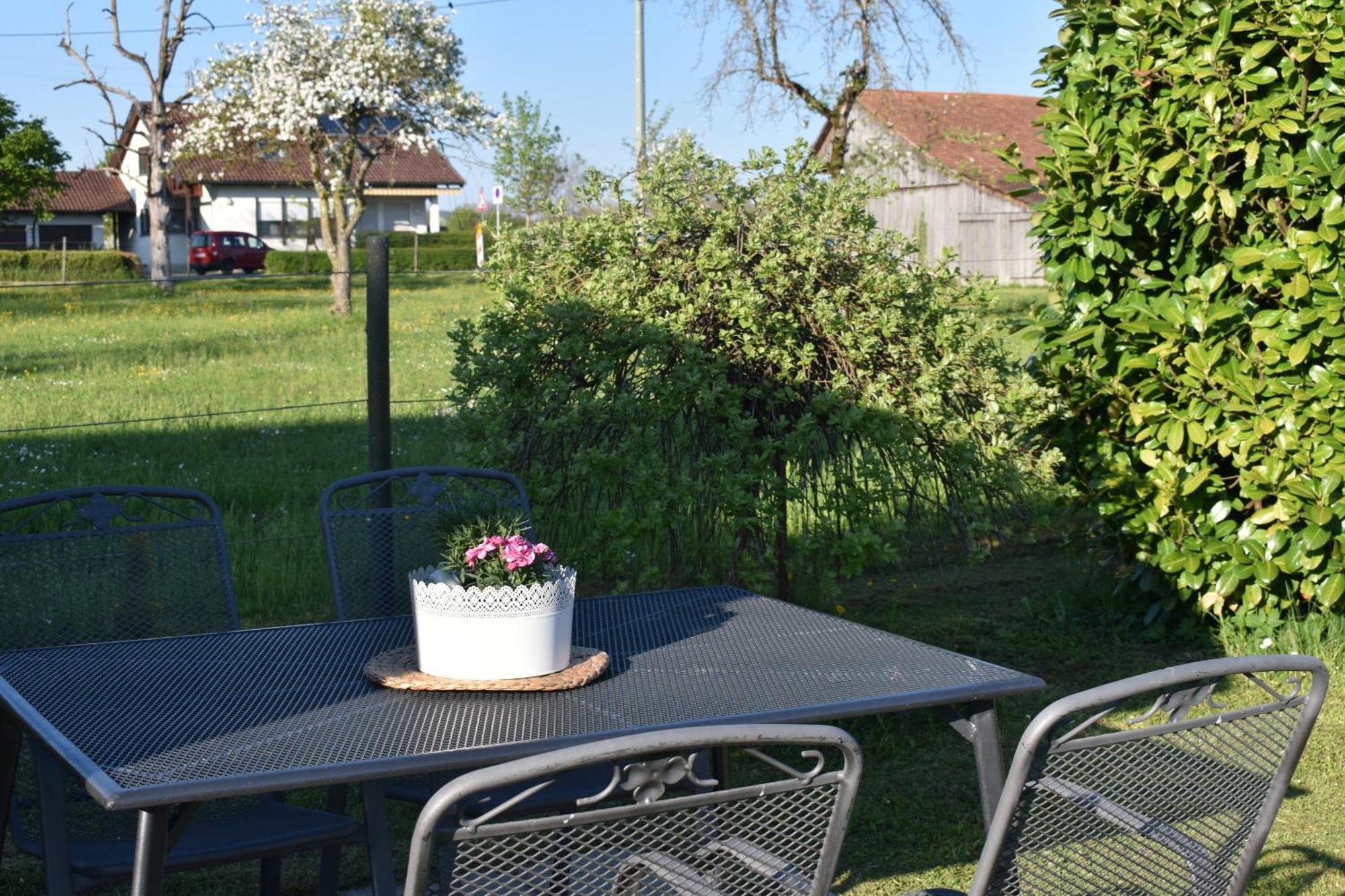 Apartament Ferien- Und Obsthof Dillmann Langenargen Zewnętrze zdjęcie